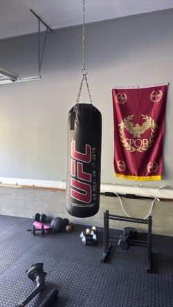 UFC Heavy Punching Bag with Chain and Everlast Gloves