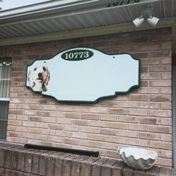 Taste O Wild And Blue Buffalo Is In 