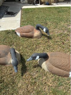 Plastic Honker Decoys