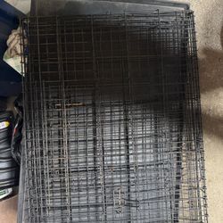 Dog Kennel 
