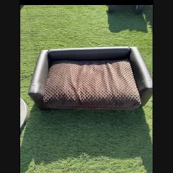 Pet Couch 
