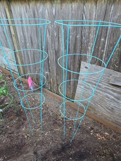 Tomato cage -$8 total