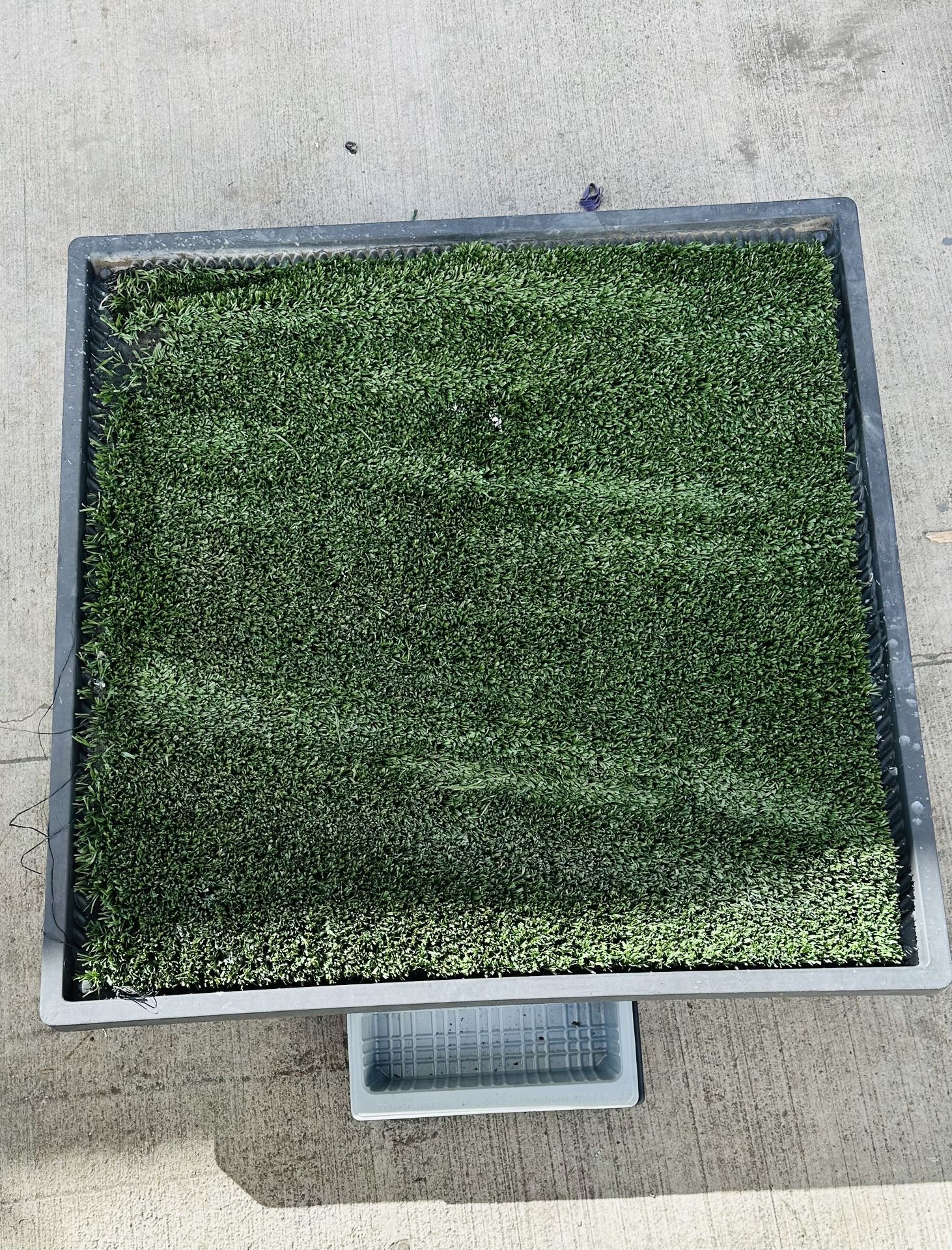 PetSafe Pet Loo Indoor Pet Toilet, Portable Dog Potty Station,  Large, Dog Potty Tray,  Dog Toilet