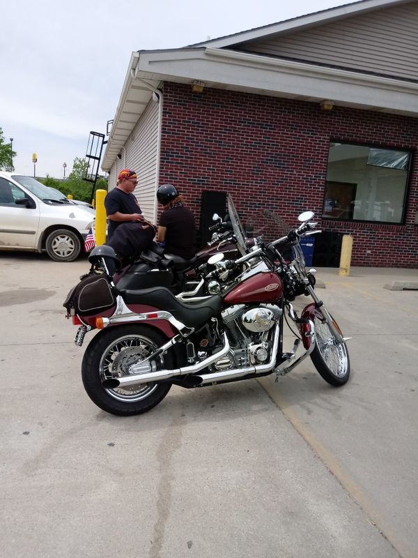 2000 hd softail standard