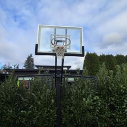 Produnk Thor Silver Basketball Hoop