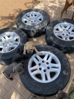 Toyota tundra