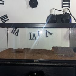 Reptile Zoo Med  Terrarium