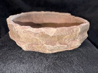 Round Stone-Texture reptile  Bowl