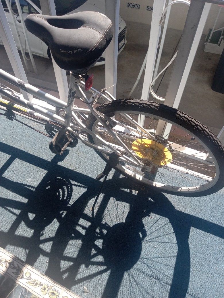 Stepper And Tandem Bike