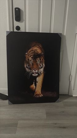 A tiger picture