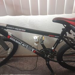 29" Men's Bike