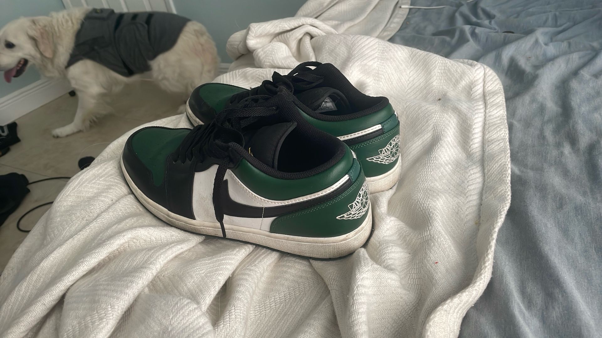 Jordan 1 Lows Size 11.5