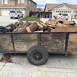 1 Quart Of Eucalyptus Cut Seasoned Ready