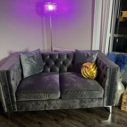 Velvet Loveseat Couch 