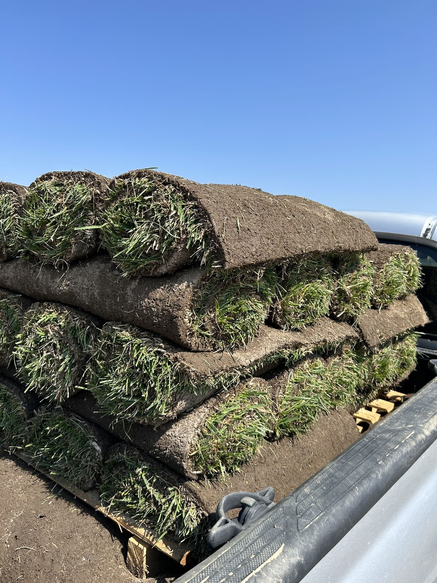 Tall Fescue Installations Or SOD Only