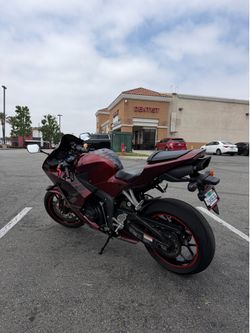 2023 Cbr600rr
