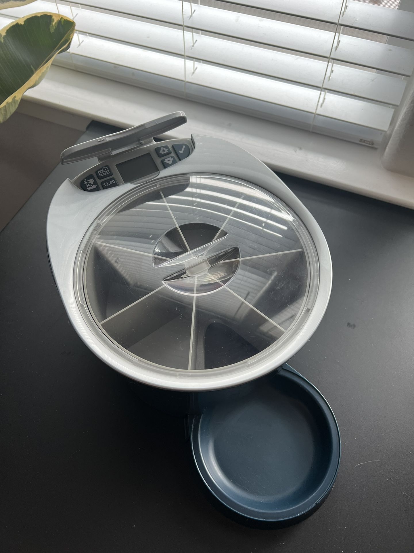 Automatic Pet Feeder