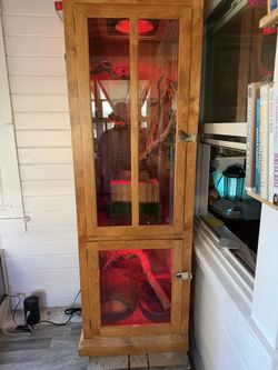 Reptile Enclosure
