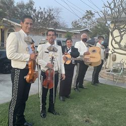 Guitarra Mariachi Plaza 