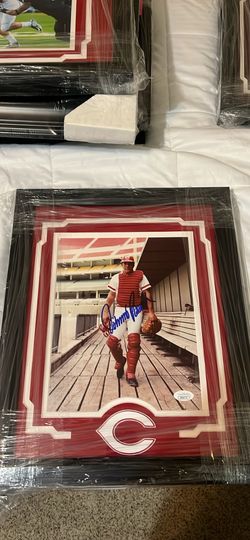Johnny Bench Reds Signed Framed 8x10 Photo Suede Matte Hand Cut Logo JSA Cert
