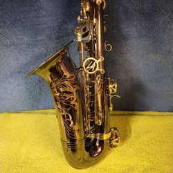 Alto sax Bundle