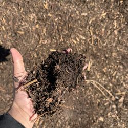 Potting Soil 