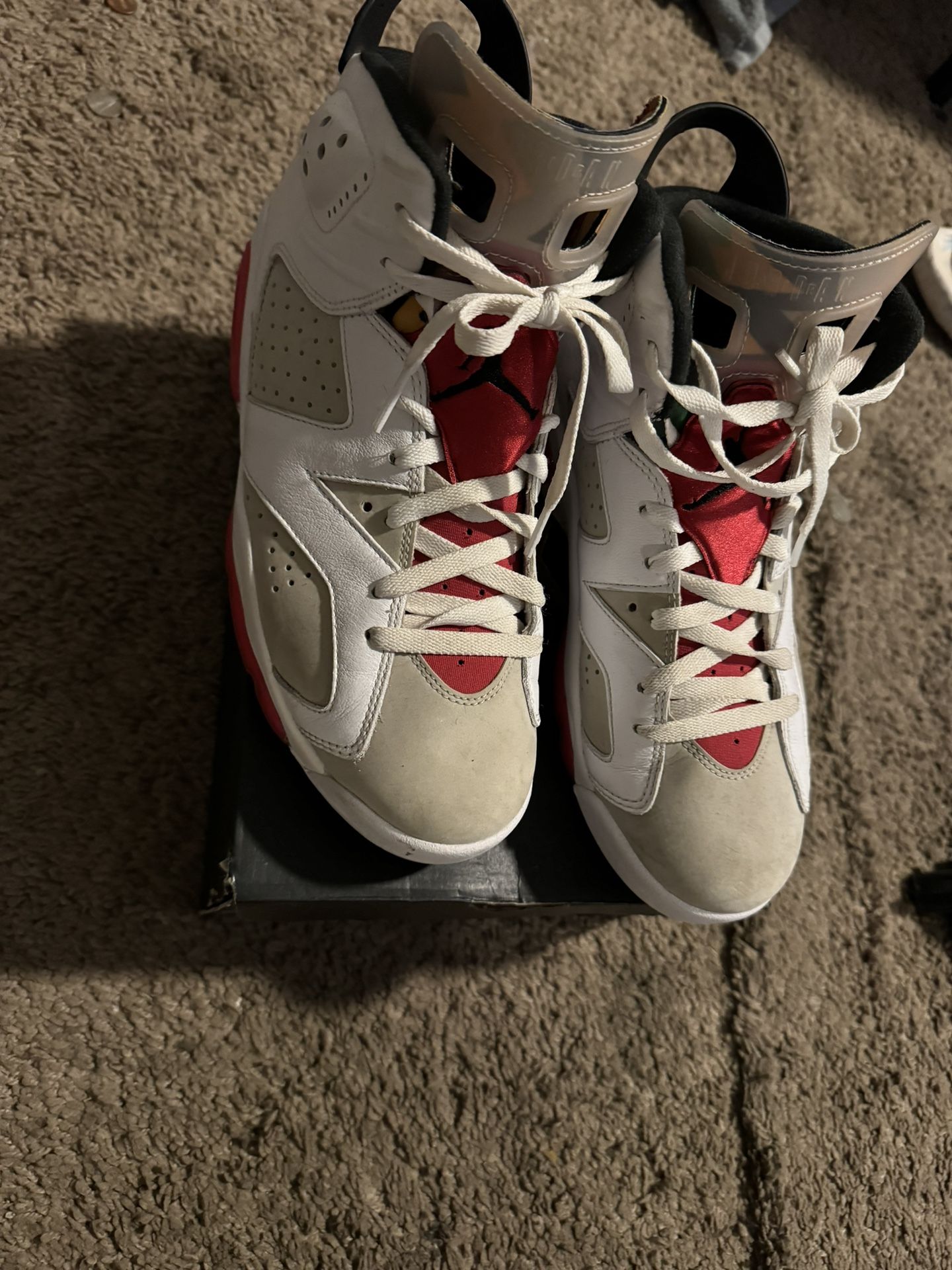 Hare 6s Jordans