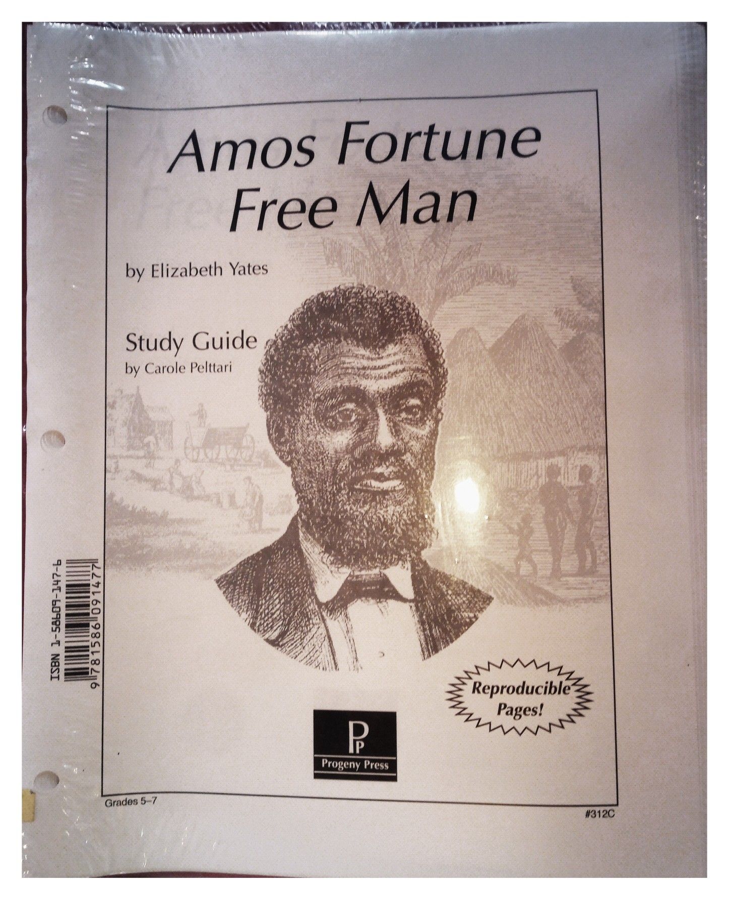 Amos Fortune Free Man Study Guide