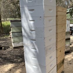Bee Boxes