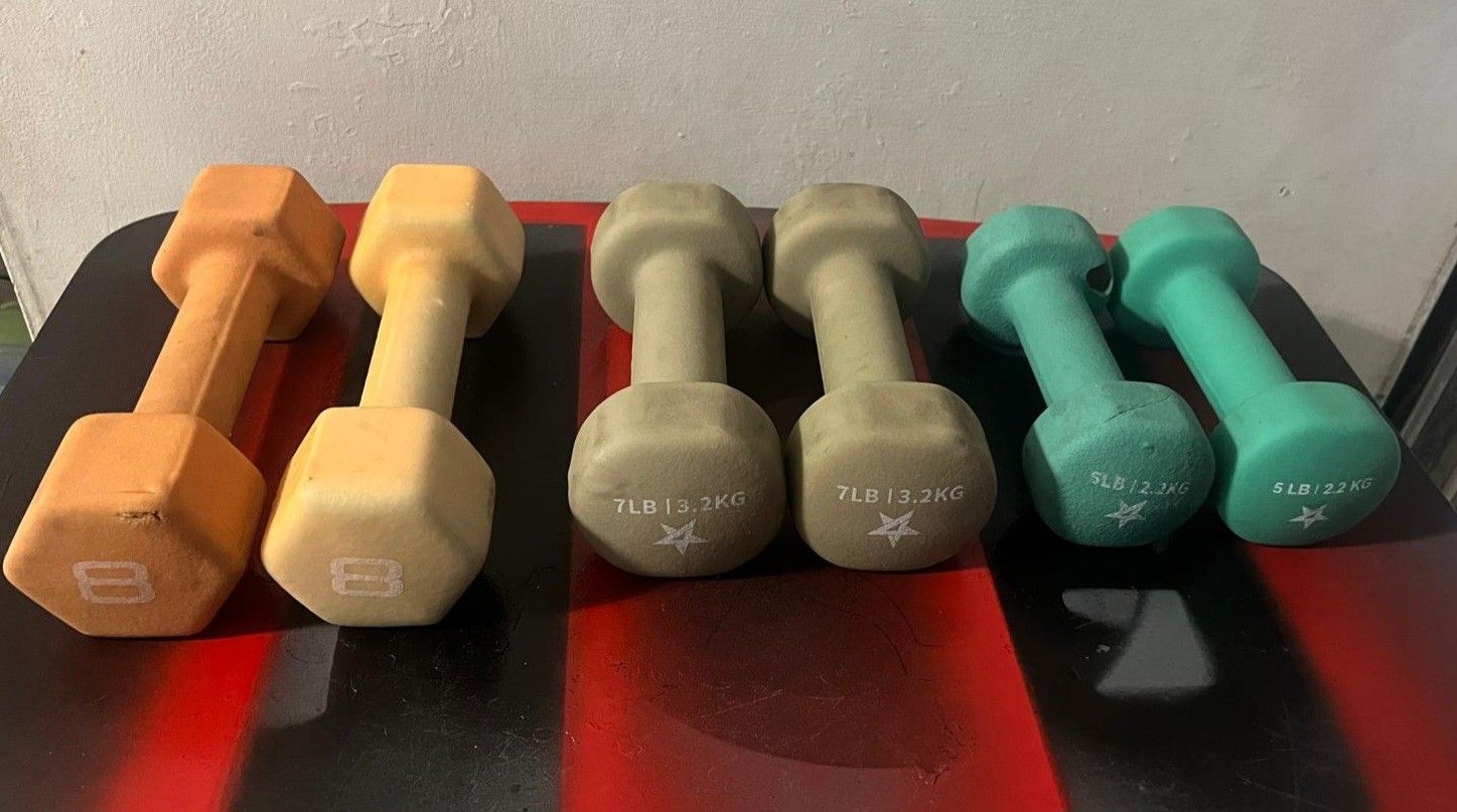 40 lbs dumbbells neoprene