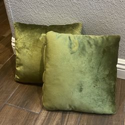 Sage green velvet pillows