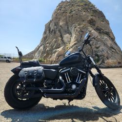2013 Harley davidson Sportster Iron 883 (1250)