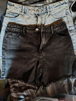 Ladies Shorts