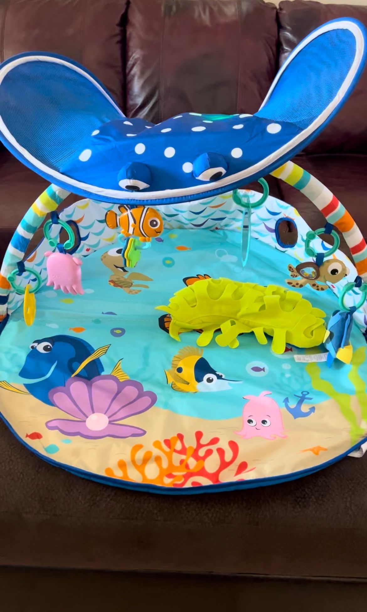 Disney Baby Finding Nemo Mr. Ray Ocean Lights And Music Activity Play Gym