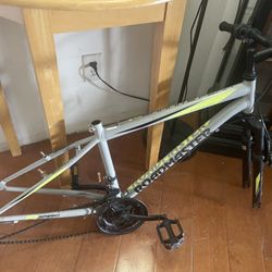 Bike Shops 
