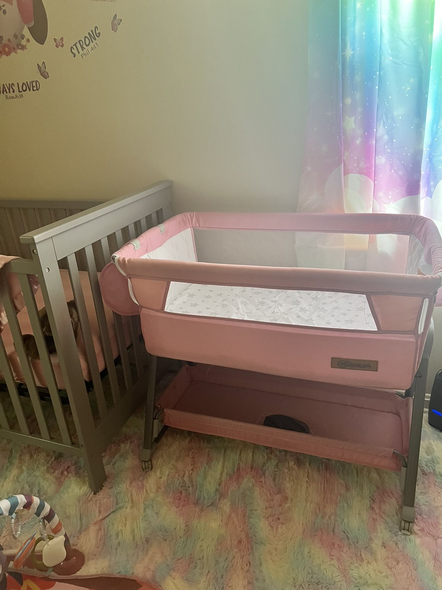 Baby Girl Bassinet