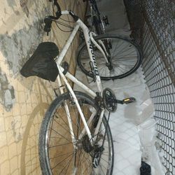 Bianchi bicicleta 26