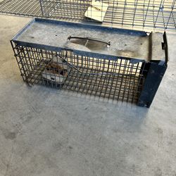 Animal Trap