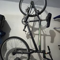 1995 24” Redline Bmx Cruiser 