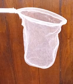 Butterfly Net