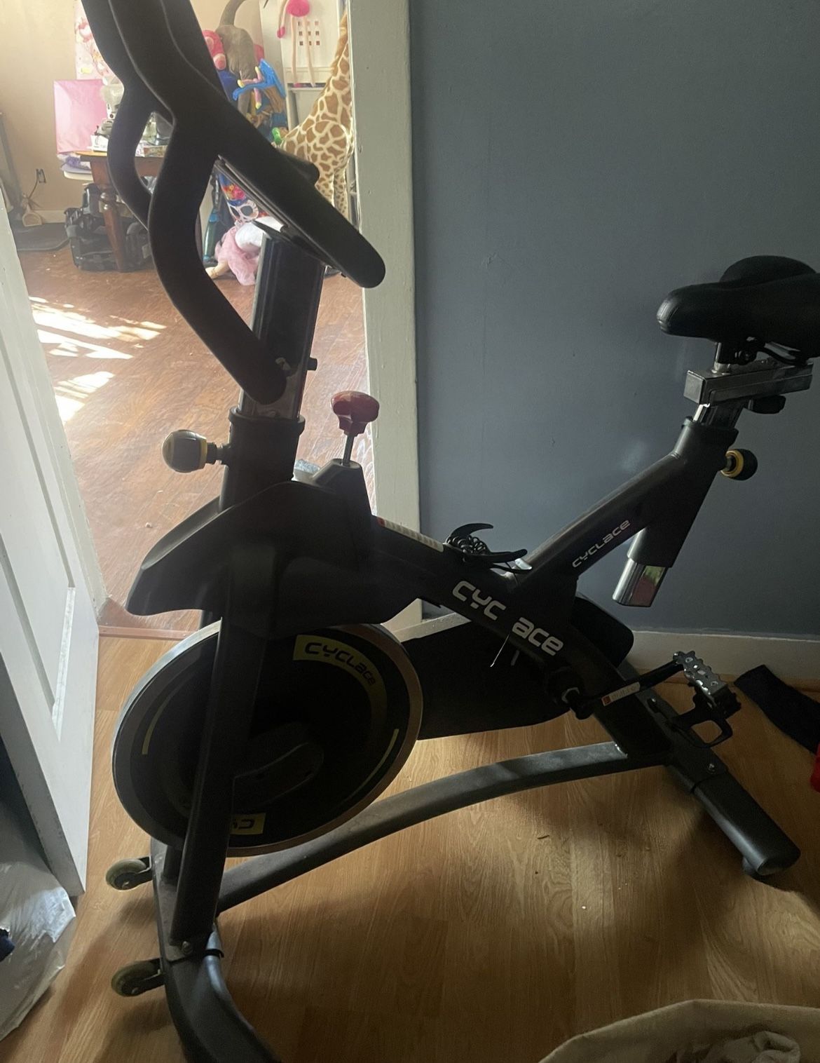 Cyclace Exercise Bike