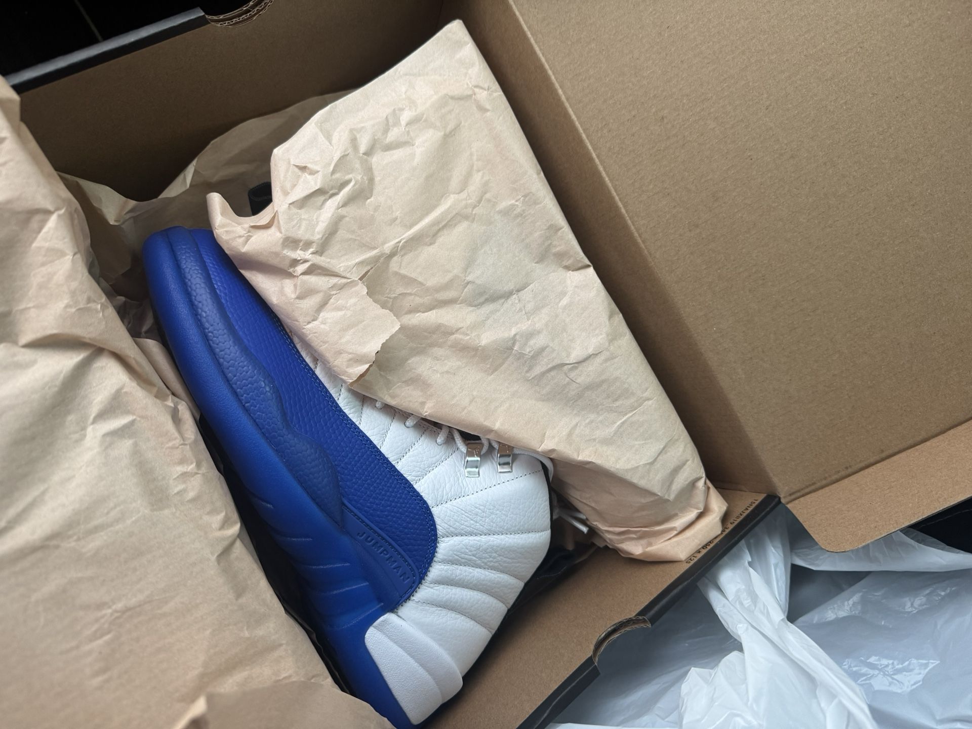 Blueberry 12s