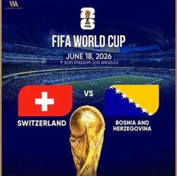 Parking Pink Zone Sofi FIFA June 18