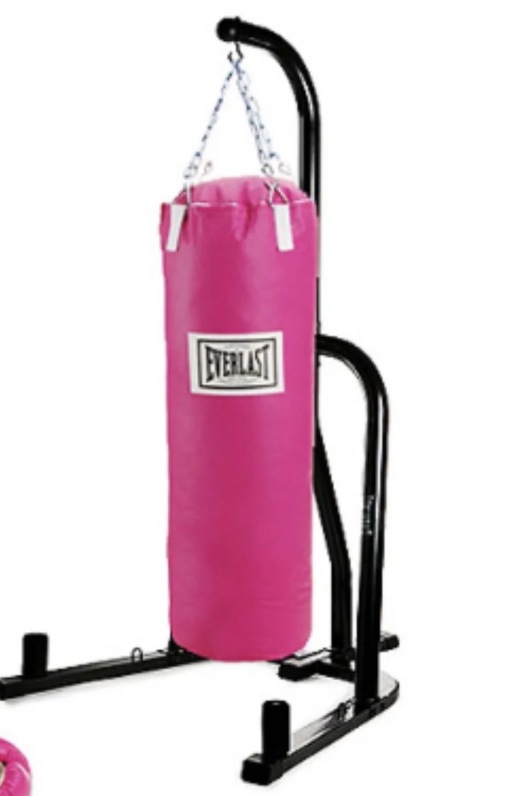 Pink Everlast Punching Bag With Stand And Speed Bag