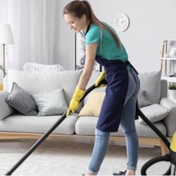 Home Cleaner