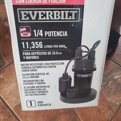 Everbilt Pump