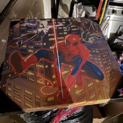 spider-man canvas photo 