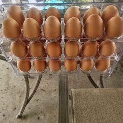 Organic Free Range AA Eggs
Extra Large, High Protein (+19%), Omega 3 (5x more per Egg)