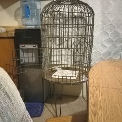 Bird Cage