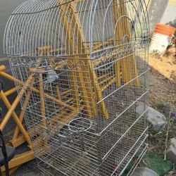 Bird Cage